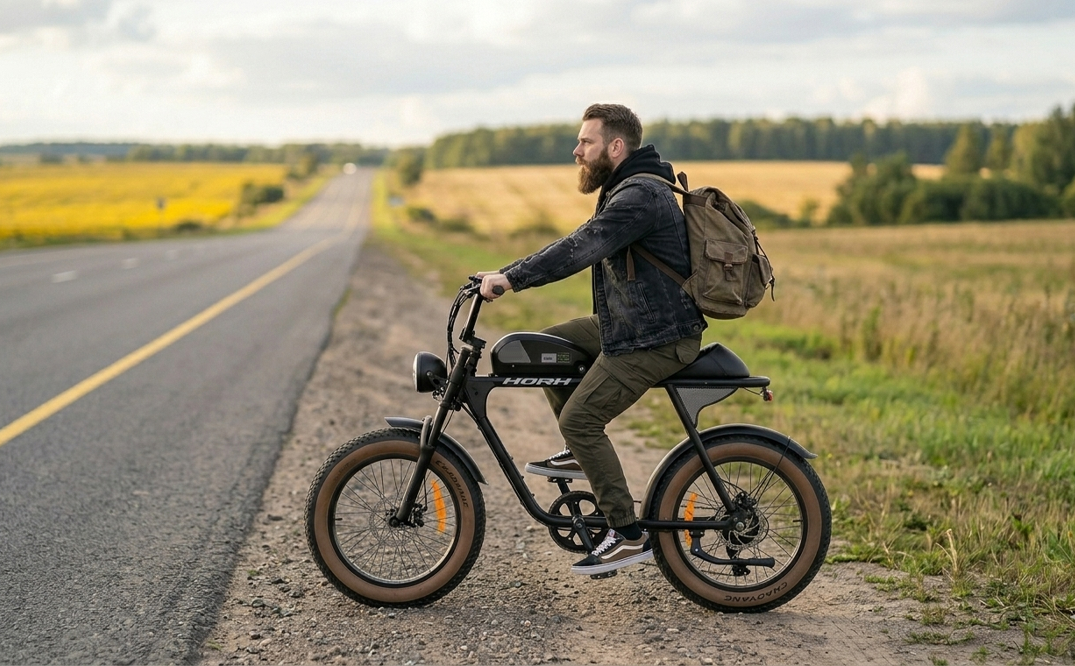 Велосипед HORH DEEP 20" 500W (2025) Black-Grey-Brown