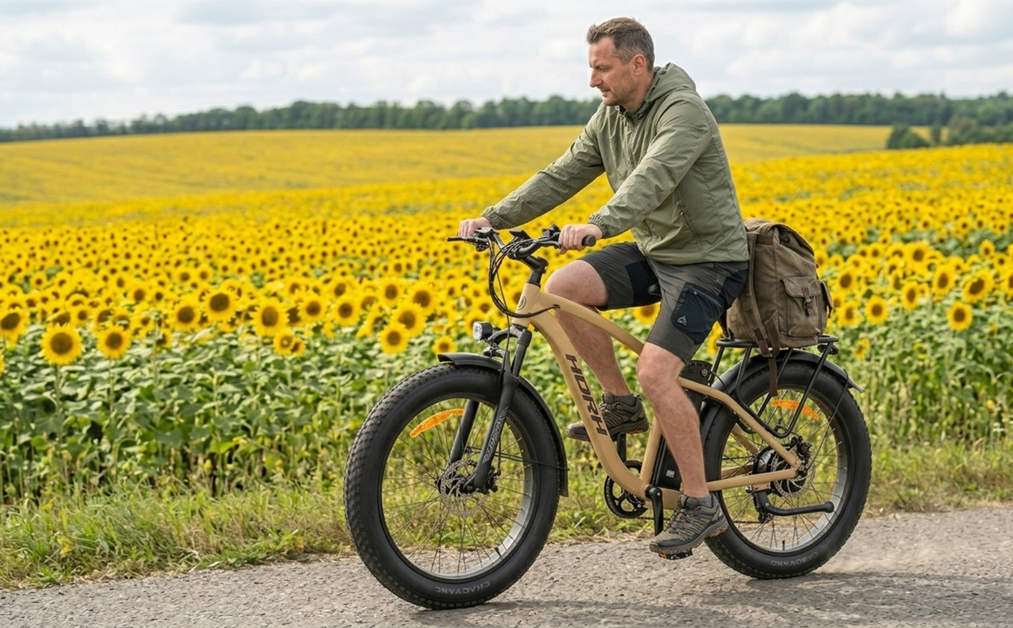Электровелосипед HORH MX 750W (2026) Sand