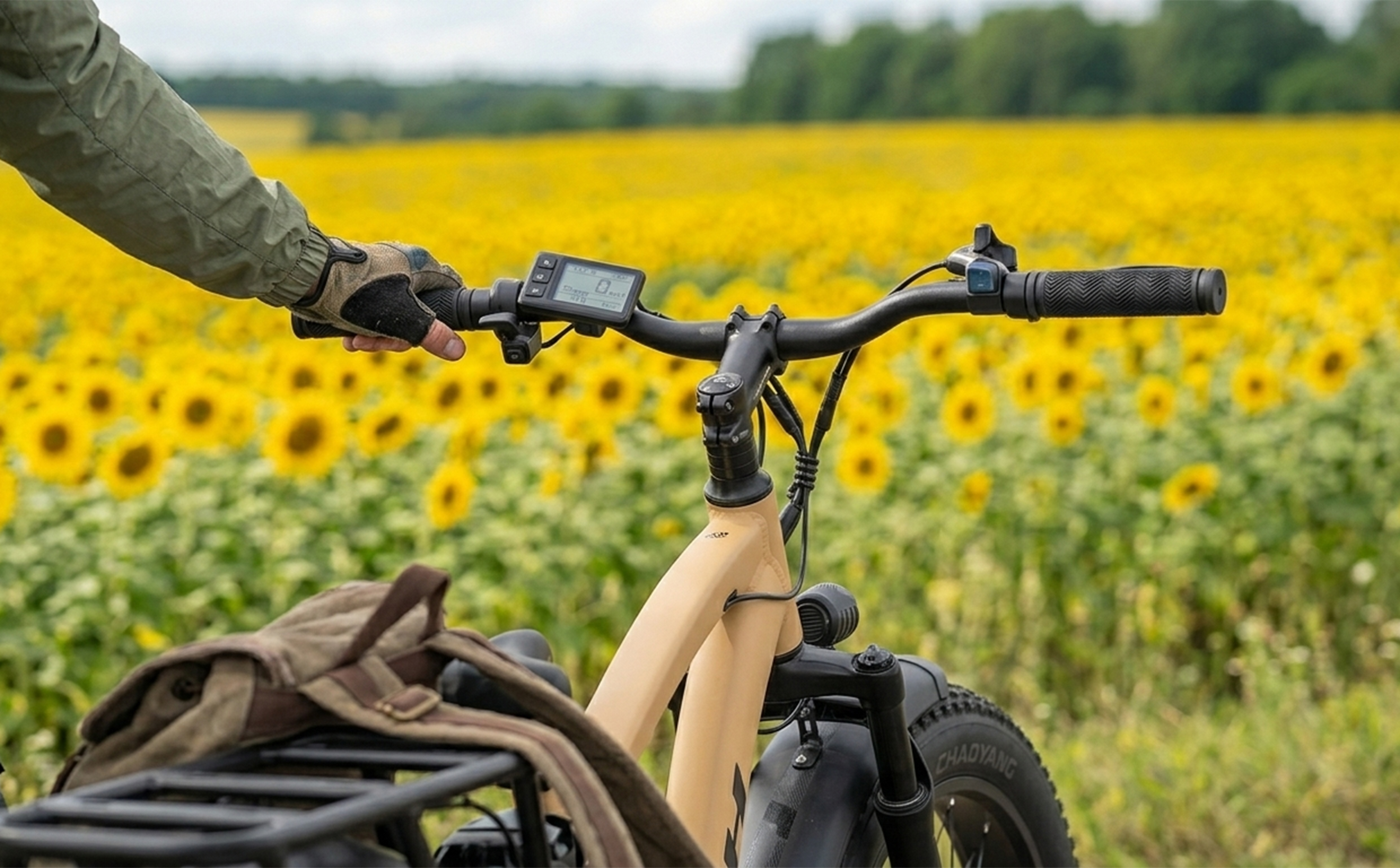 Электровелосипед HORH MX 750W (2026) Sand